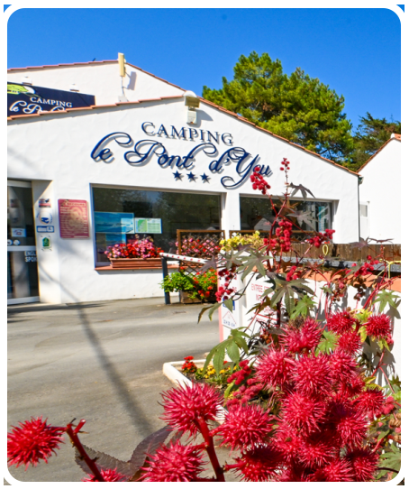 Petit camping en Vendée avec accès direct plage à Notre Dame de Monts