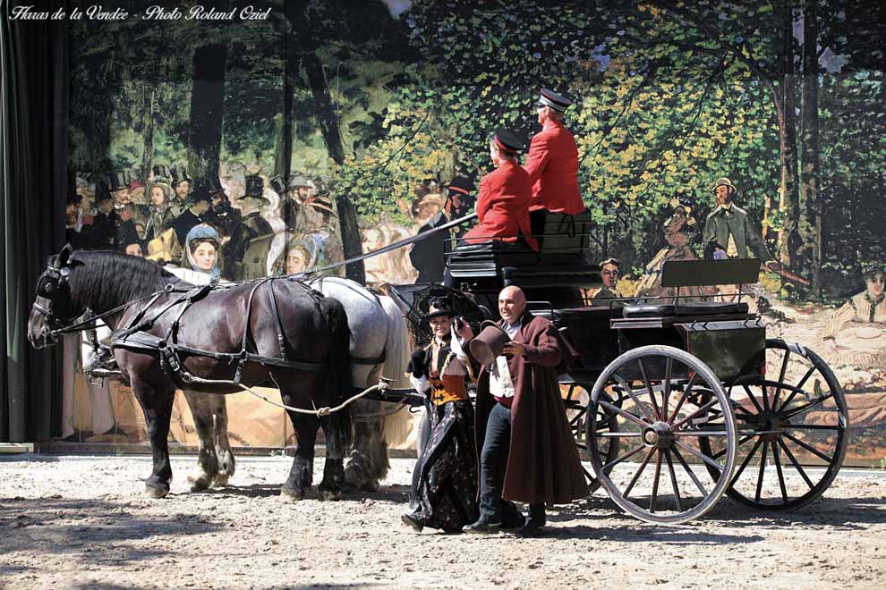 Camping pour aller visiter le haras de la Vendée