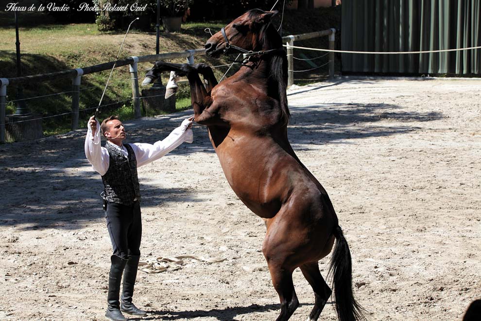 Hébergement proche du haras de la Vendée
