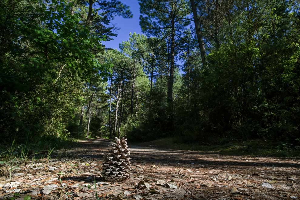 Estacade de saint jean de monts proche du camping